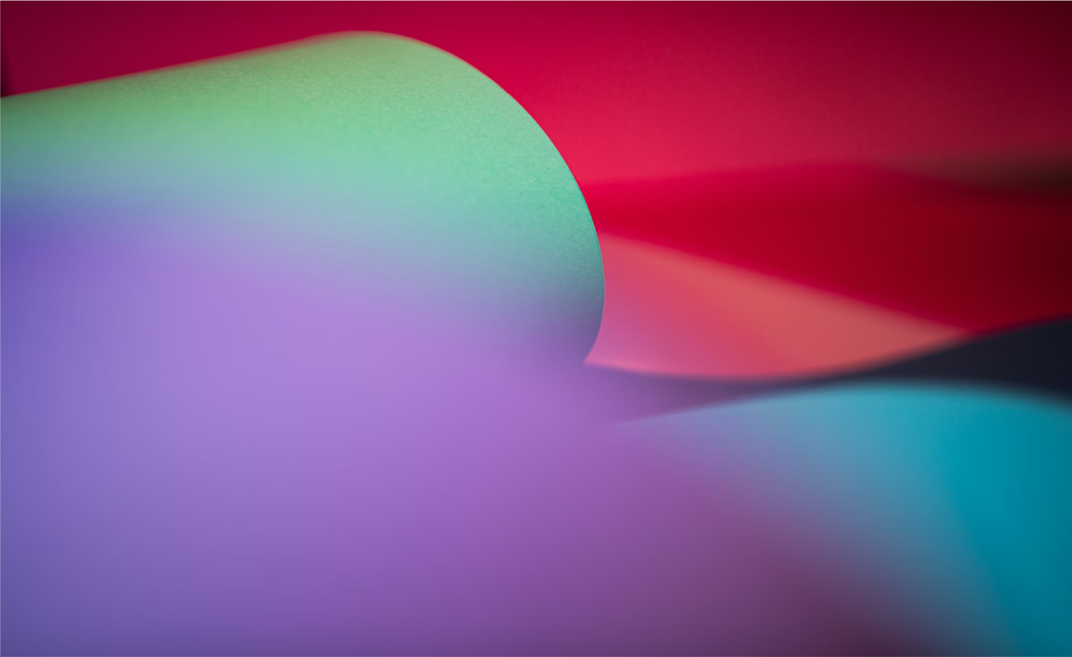 Learn together, grow faster